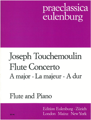 Book cover for Concerto for flute